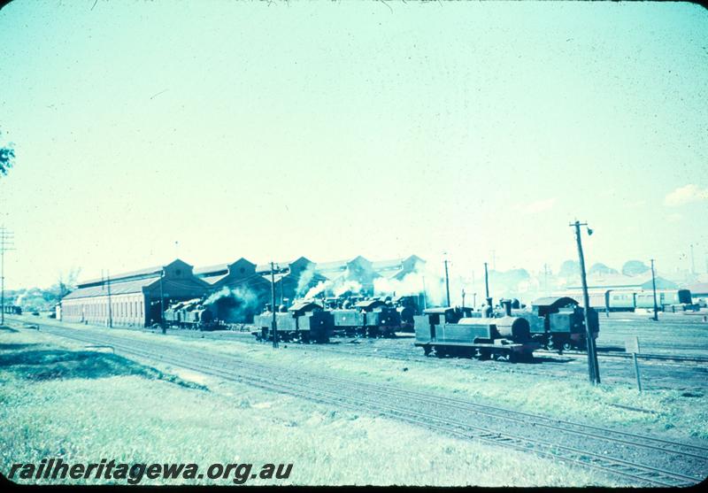 T03273
Locos on apron in front of loco shed, East Perth loco depot
