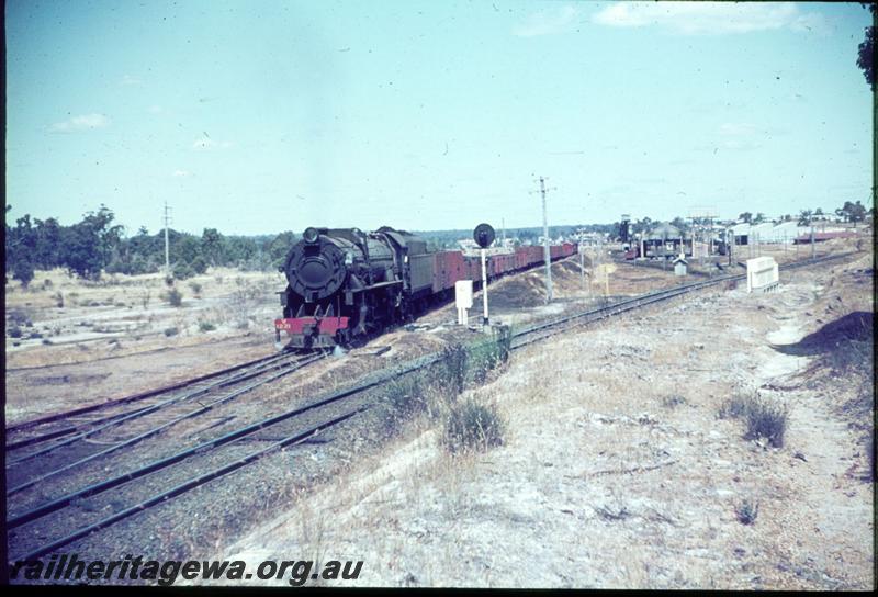 T03343
V class 1221, Collie, BN line, goods train
