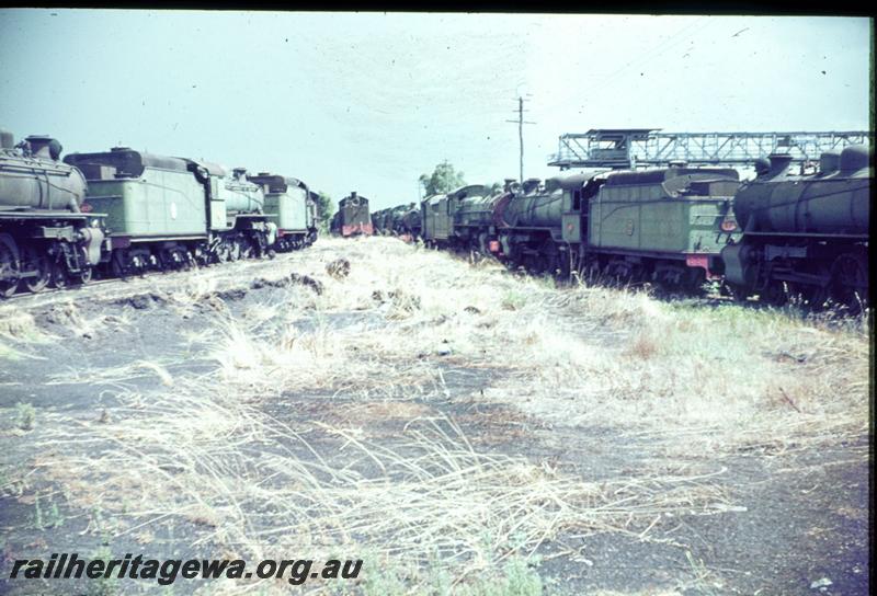 T03344
Locos lined up in the graveyard, Midland Workshops
