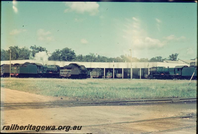 T03360
Line up of locos around turntable, Loco Depot, Collie
