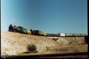 Filename=T03342.jpg
Filesize=84KiB
Dimensions=800x531
Date added=Sep 03, 2014 T03342.jpg