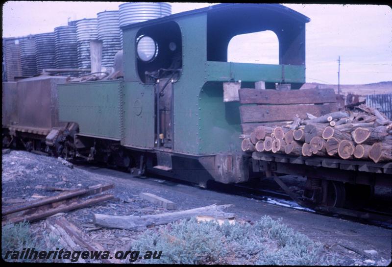 T03408
Sons of Gwalia loco 
