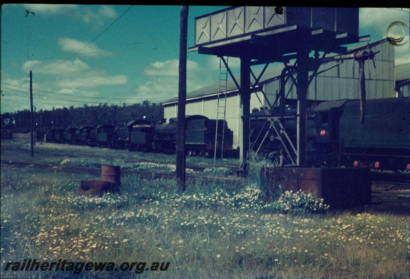 T03432
Water tower, loco depot, Collie
