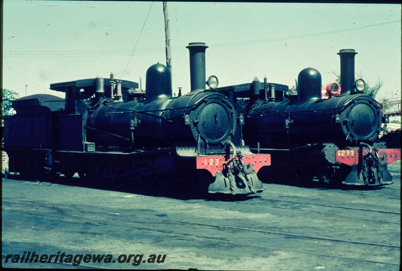 T03435
G class 123, G class 233, Bunbury loco depot, side and front views
