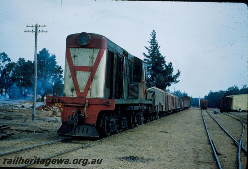 T03443
Y class 1102, Dwellingup Yard, PN line, goods train
