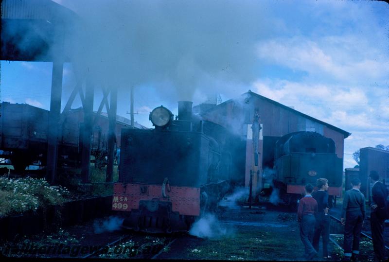 T03529
MSA class 499 Garratt loco, loco shed, Pinjarra loco depot, ARHS tour train to Dwellingup
