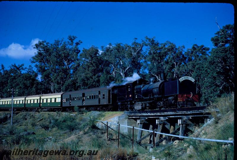 T03535
MSA class 499 Garratt loco, trestle bridge, between Dwellingup & Pinjarra, PN line, ARHS tour train to Dwellingup.
