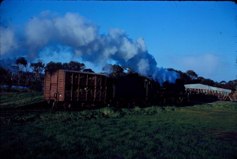 T03537
W class 935, Bokal, WB line, shunting the yard
