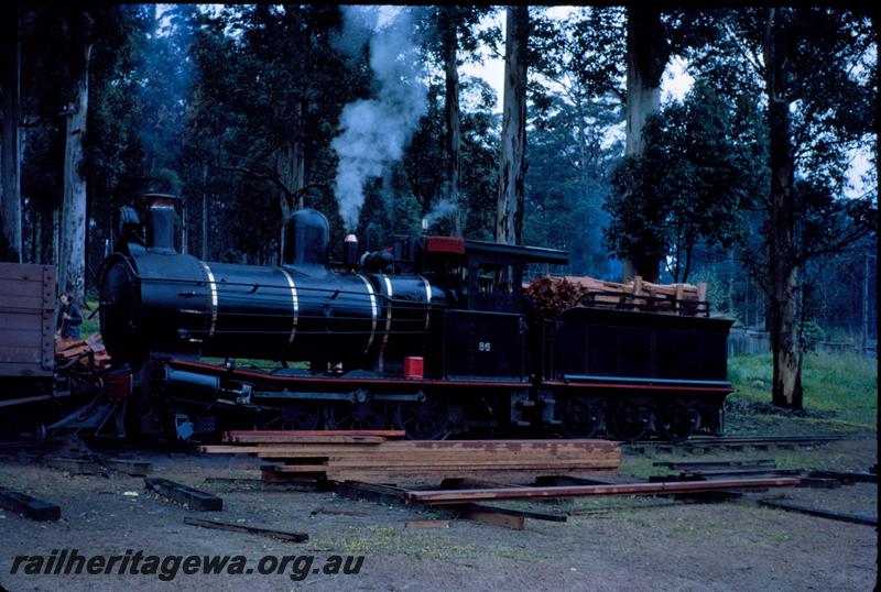 T03561
Bunnings loco YX class 86 on ARHS tour train, Donnelly mill, at the firewood pile. side view

