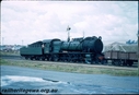 T03497.jpg