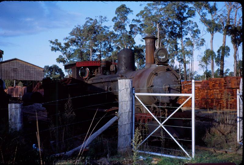 T03618
Bunnings loco No.11, Manjimup, side and front view

