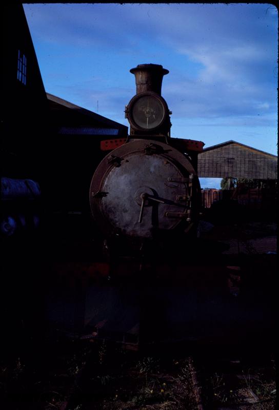 T03619
Bunnings loco No.11, Manjimup, front on view
