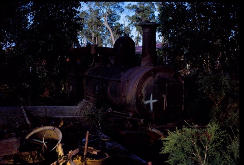 T03622
Bunnings loco No.53, Manjimup, derelict in bush
