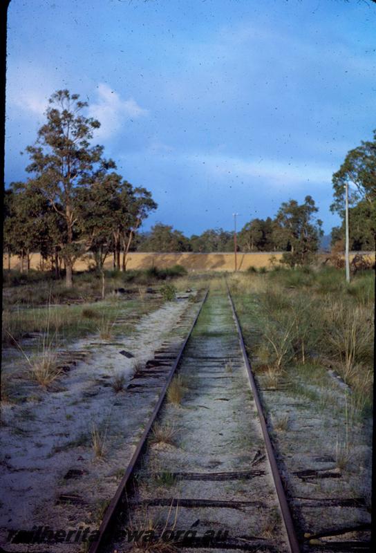 T03636
Track, Mundijong, Millars line, abandoned 
