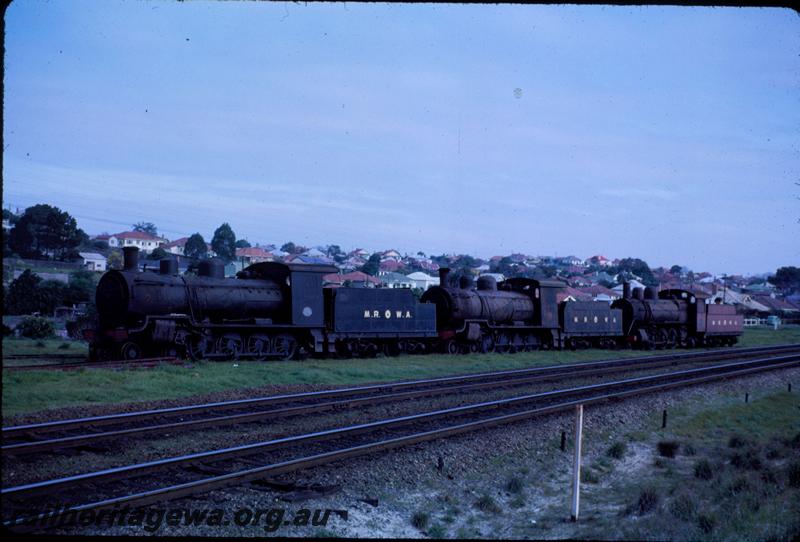 T03647
MRWA locos line up on Belmont Branch, Bayswater, D class 19, D class 20. C class 18, awaiting scrapping.
