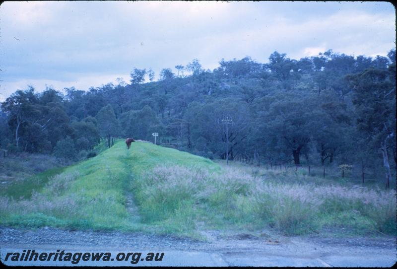 T03658
Track, Boya, M line, overgrown, looking west, just west of the Coulston Road crossing
