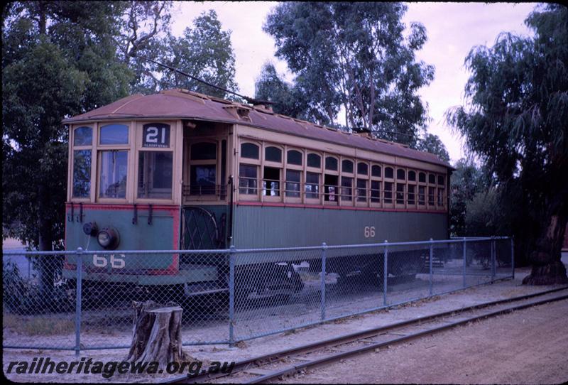 T03681
Tram No.66. Perth Zoo, front and side view, later to be relocated to the Rail Transport Museum.
