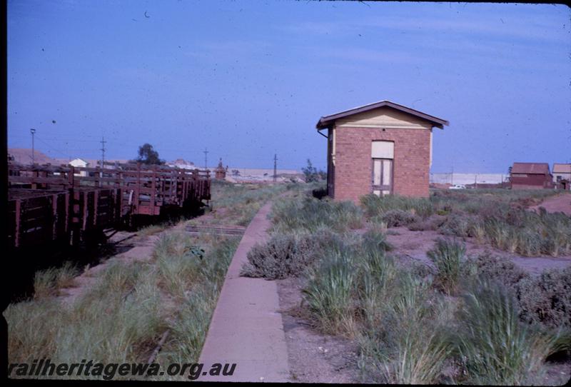 T03687
Lakewood Firewood Co. wagons, station building, Kamballie, B line
