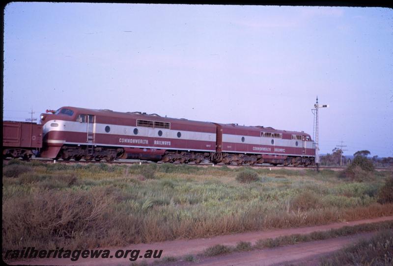 T03692
Commonwealth Railways (CR) GM class 10 double heading with Commonwealth Railways (CR) GM class 15, on No.366 freight, Parkeston
