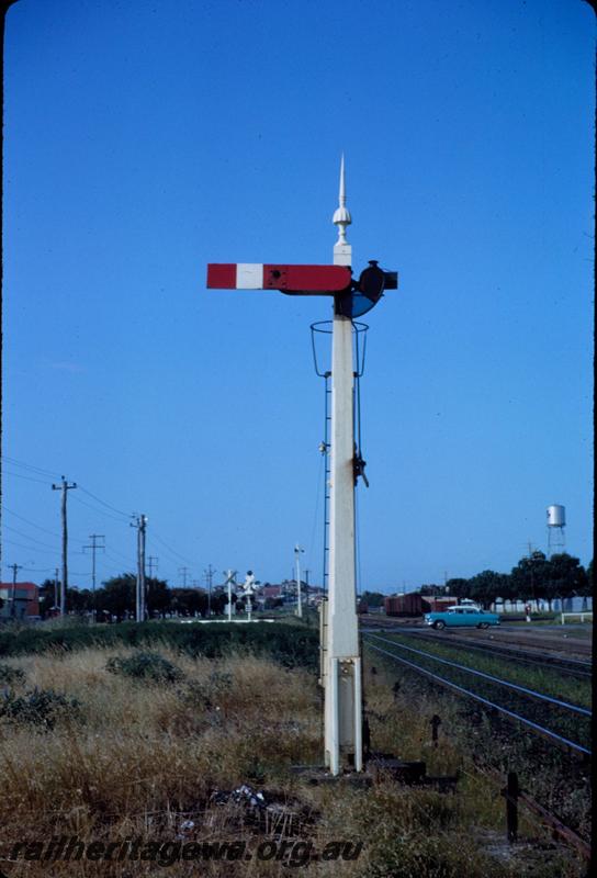 T03699
Signal, 