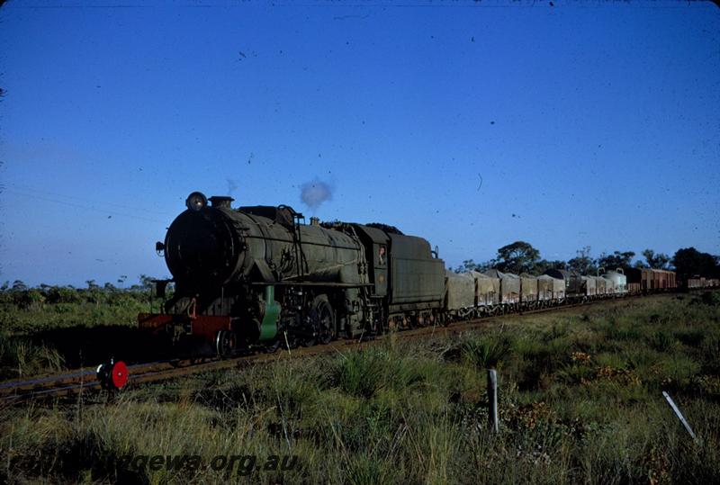 T03794
V class 1214, Narrikup, GSR line, goods train
