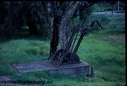 Filename=T03662.jpg
Filesize=115KiB
Dimensions=800x542
Date added=Sep 03, 2014 T03662.jpg