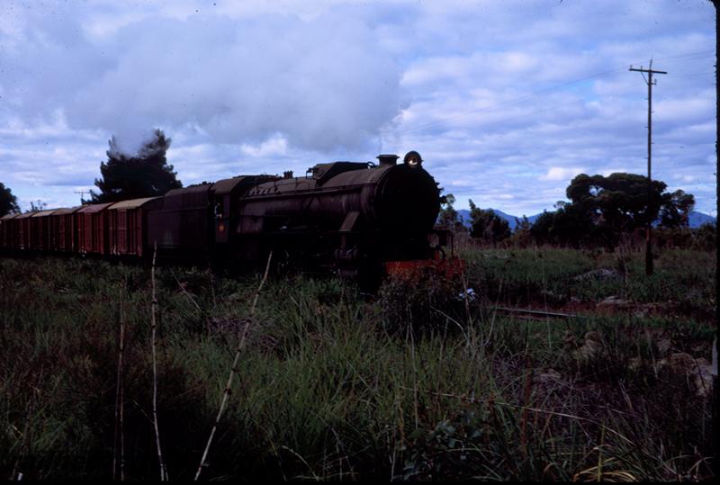 T03818
V class 1209, Narrikup. GSR line, goods train
