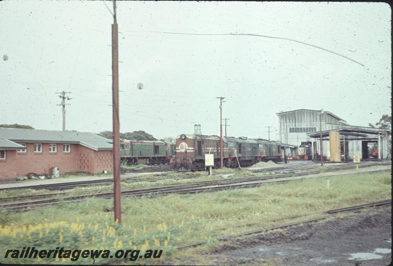 T03944
Locos lined up at the Diesel Depot, Midland 
