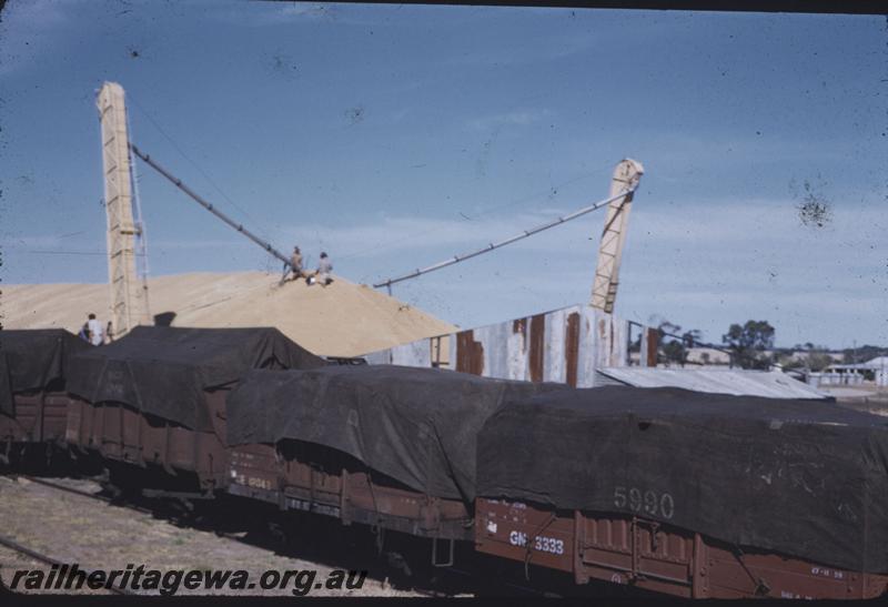 T03950
GN class 3333 with other tarpaulined wagons after being loaded with wheat
