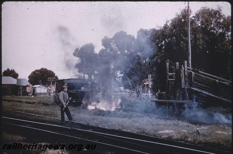 T03953
Weeds on right of way being burnt off
