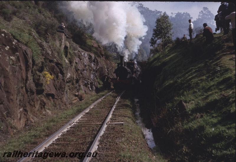 T03954
G class 123, FS class 461, entering 