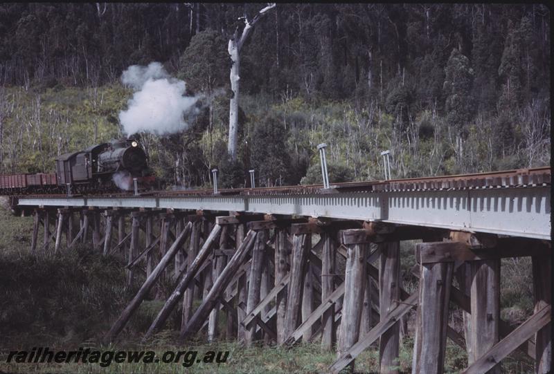 T03958
W class 913, steel girder on trestle bridge, Warren River, PP line, goods train with a MRWA van in consist, Photo taken prior to T3958
