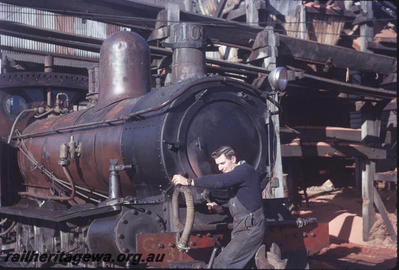 T03963
Loco No.109, G 131 on buffer beam, tender from A class loco, Northcliffe, PP line, side and front view
