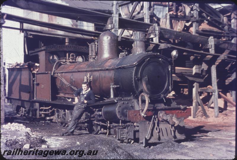 T03965
Loco No.109, G 131 on buffer beam, tender from A class loco, Northcliffe, PP line, side and front view
