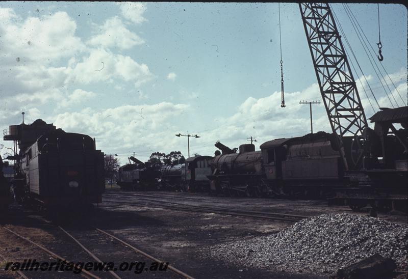 T03971
V class 1209, W class 941 plus other locos, steam crane, East Perth Loco Depot
