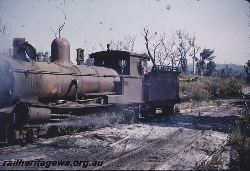 T03994
Loco No.109, G 131 on buffer beam, tender from A class loco, Northcliffe, PP line, side and front view
