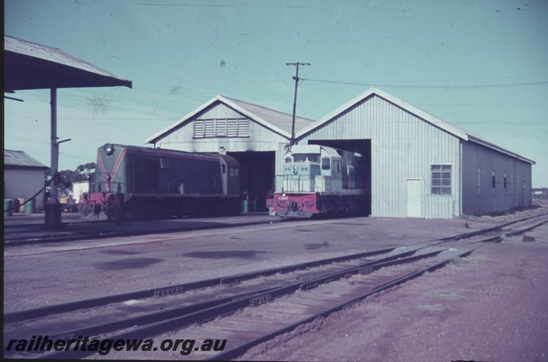 T04023
F class 41, L class, loco depot, Kalgoorlie, EGR line
