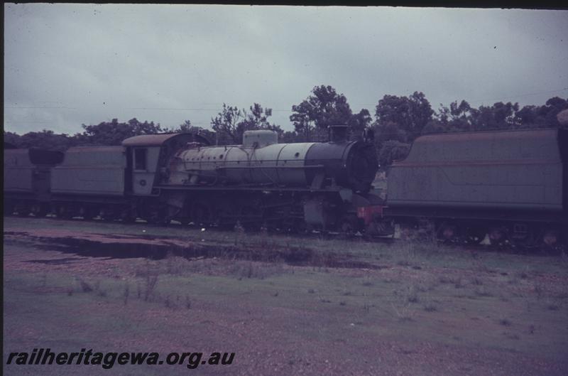 T04153
W class 931 between two other W classes, Collie, stowed.
