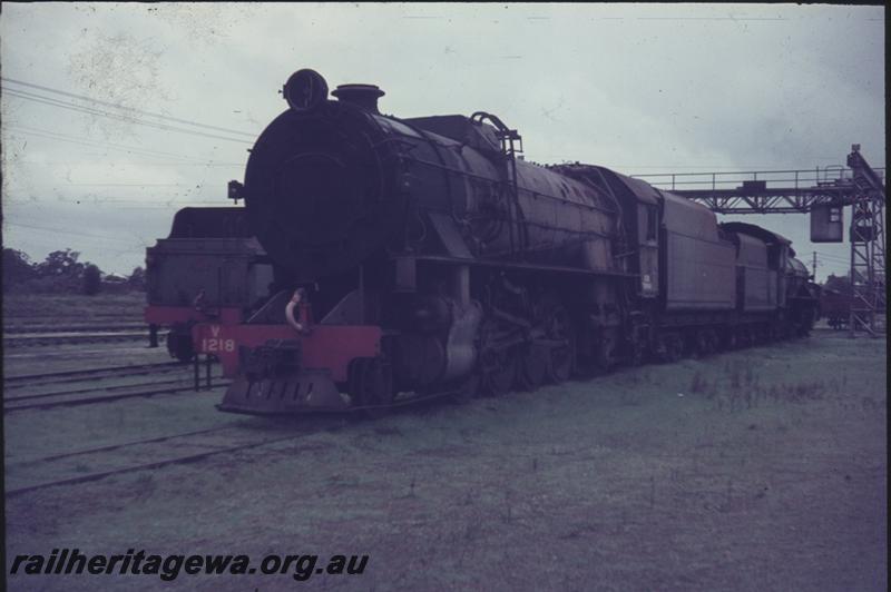 T04154
V class 1218, Collie, BN line, front and side view.
