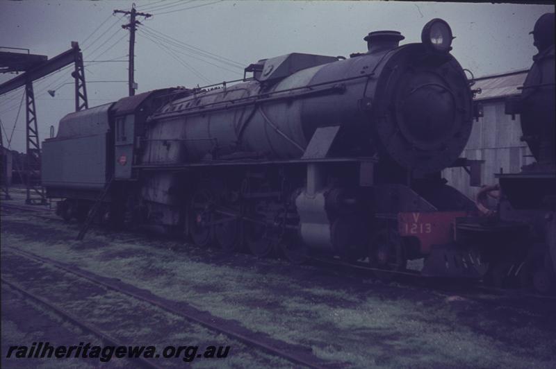 T04155
V class 1213, Collie, BN line, side and front view
