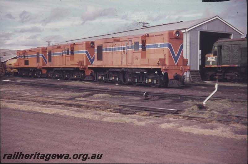 T04165
Y class 1105, Y class 1118 and another Y class, all in Westrail orange livery. all in a line. X class 1013 