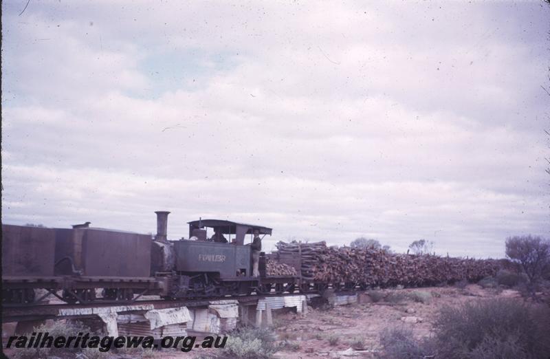 T04256
Sons of Gwalia loco 