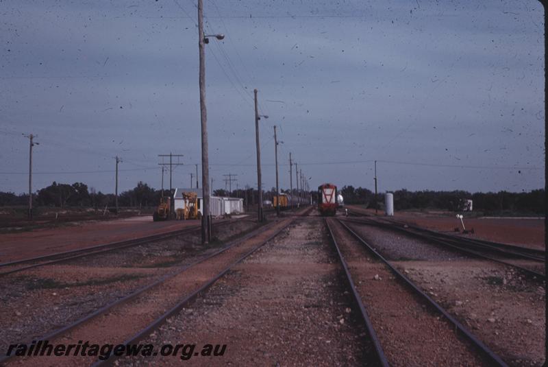 T04273
Yard, Kwinana, general view along the tracks, Y class loco in the background
