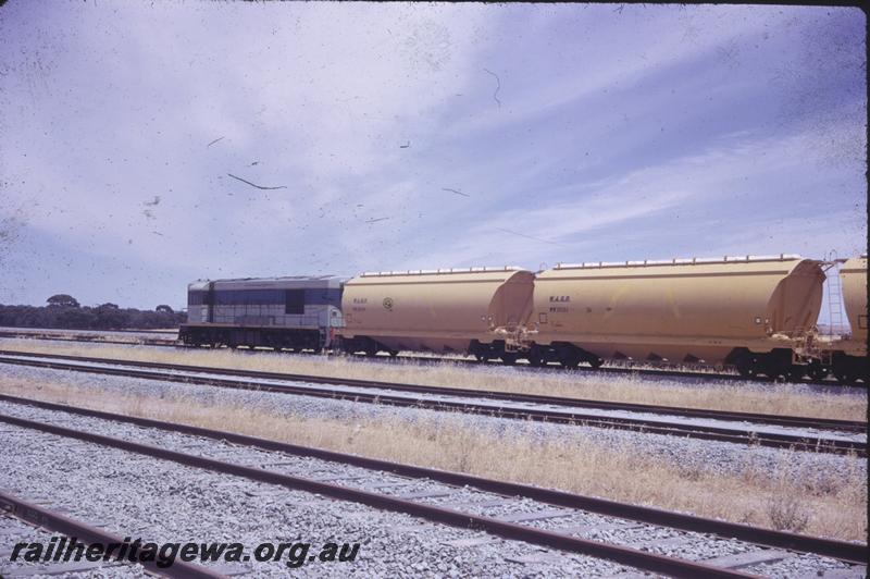 T04307
K class standard gauge loco hauling WW class bogie grain hoppers, West Merredin
