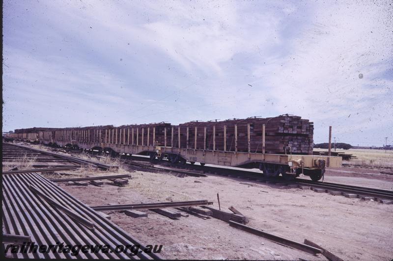 T04311
Rake of WF class standard gauge flat wagons (later reclassified to WFDY),loaded with wooden sleepers
