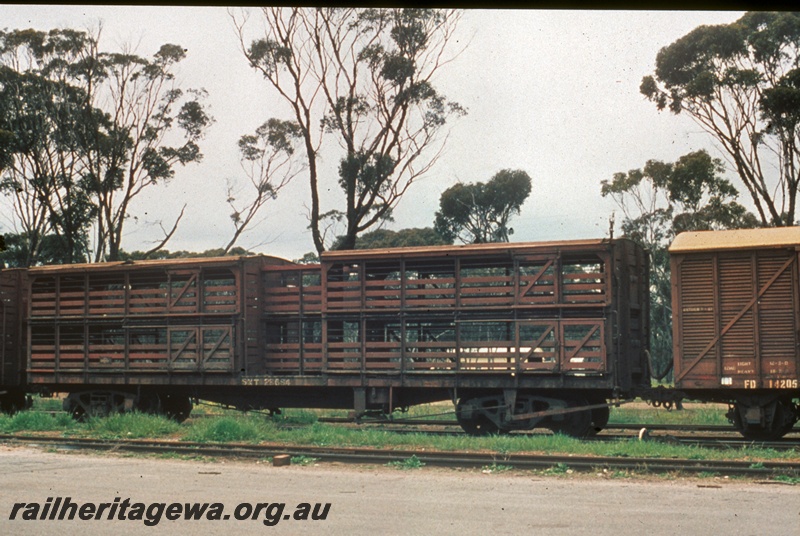 T04392
SXT class 4392 bogie sheep wagon in brown livery, side view
