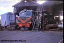 Filename=T04377.jpg
Filesize=190KiB
Dimensions=800x539
Date added=Jun 14, 2017 T04377.jpg