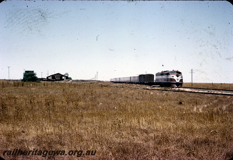 T04427
25 of 38 images of Commonwealth Railways (CR) 