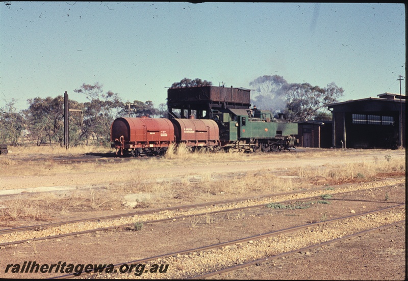 T04441
UT class 664 steam locomotive with 2 JA class water tankers at Watheroo. Water Column to left of wagons and MR style water tower to left of locomotive. Locomotive shed and adjacent building in front of locomotive. MR line.
