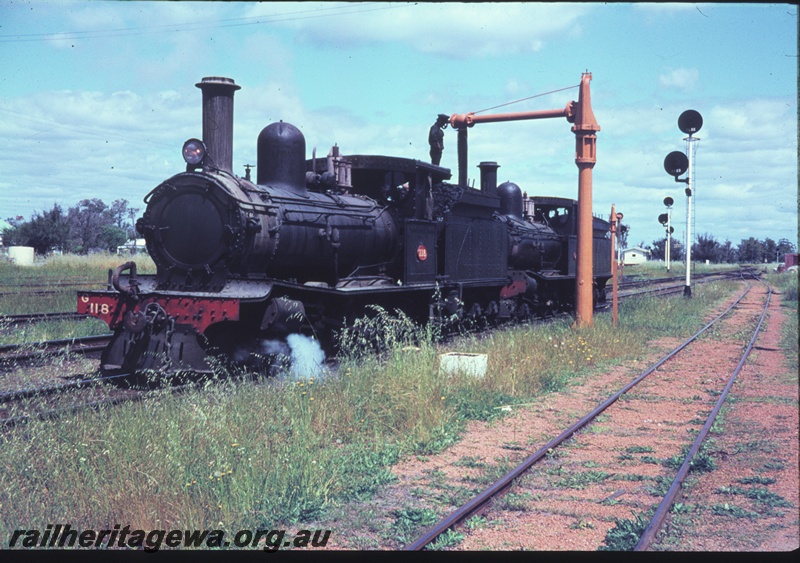 T04449
G class 118 steam locomotive, hauling another G class locomotive, taking water at Pinjarra. SWR line, Both locomotives were enroute to Forrestfield for disposal.
